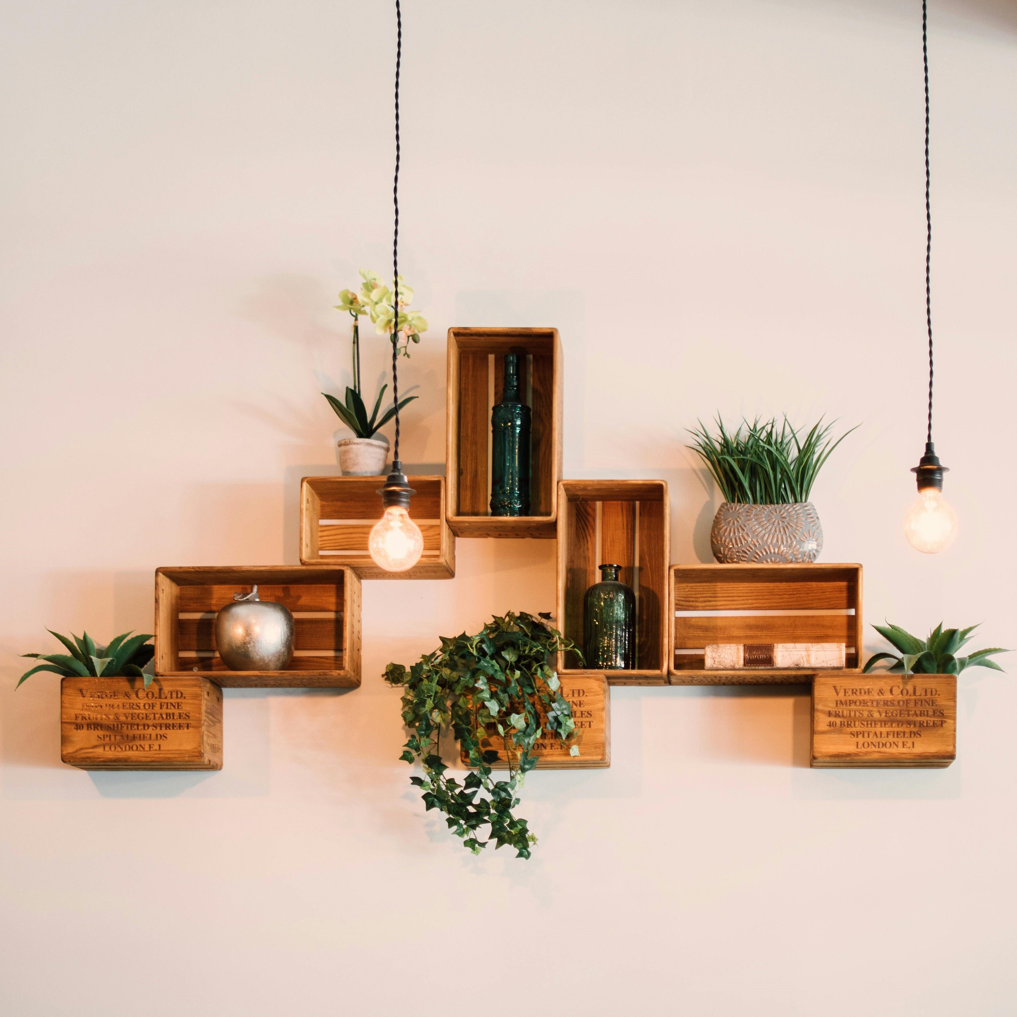 Home Improvement